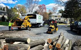 Leaf Removal in Fyffe, AL