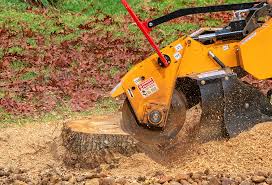 Best Emergency Tree Removal  in Fyffe, AL
